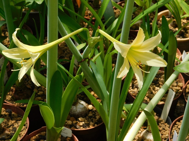 DSCN5208.JPG