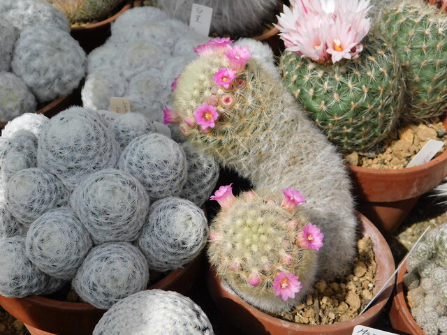 DSCN5210.JPG
