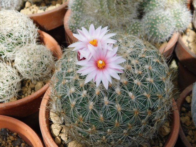 DSCN5212.JPG
