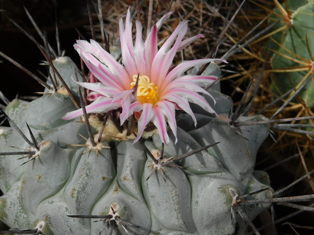 DSCN5224.JPG