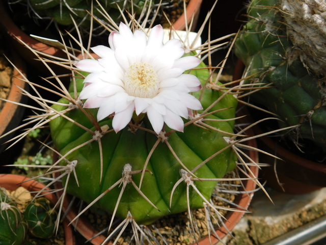 DSCN5224.JPG
