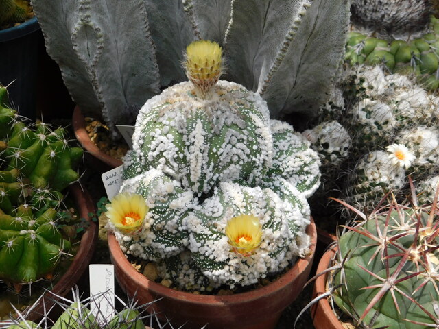 DSCN5229.JPG