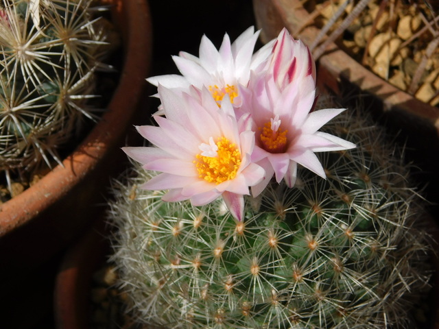 DSCN5232.JPG
