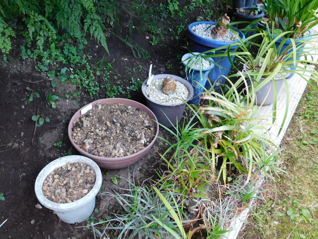 DSCN5236.JPG
