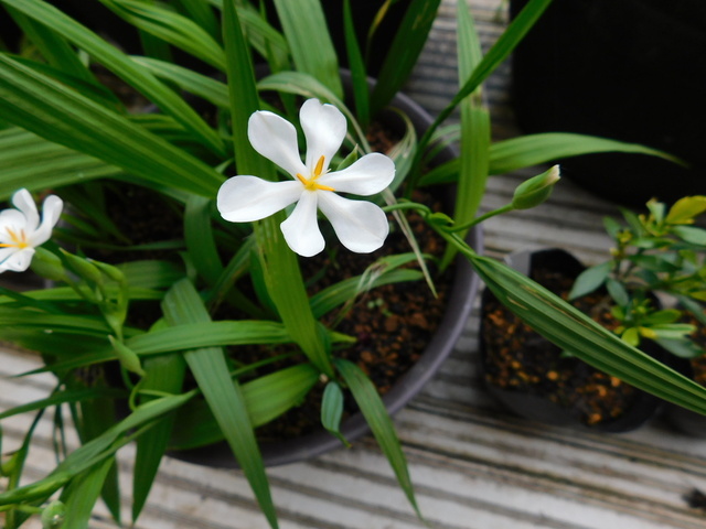 DSCN5239.JPG