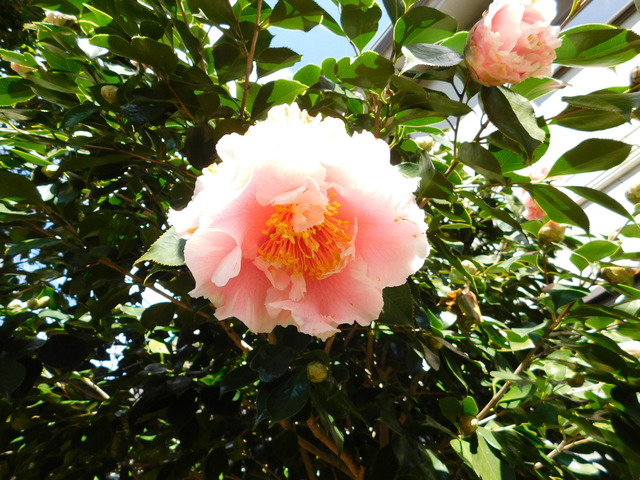 DSCN5249.JPG