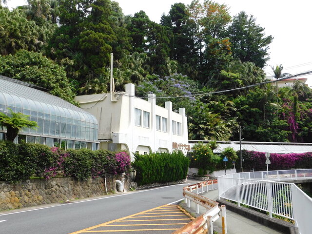 DSCN5264.JPG