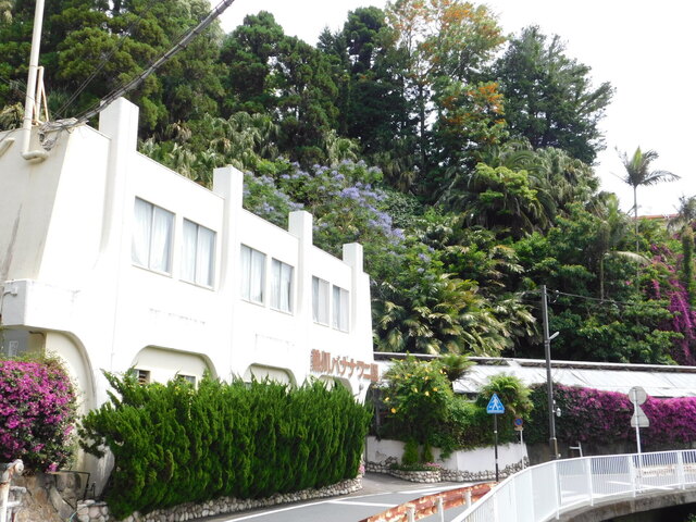 DSCN5265.JPG
