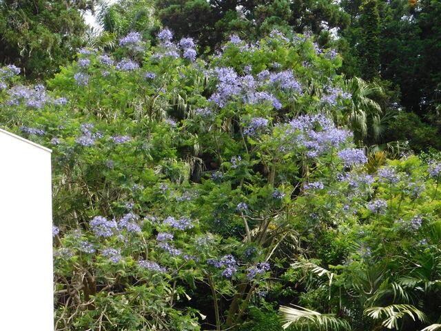 DSCN5268.JPG