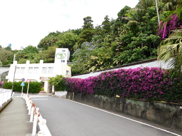 DSCN5276.JPG
