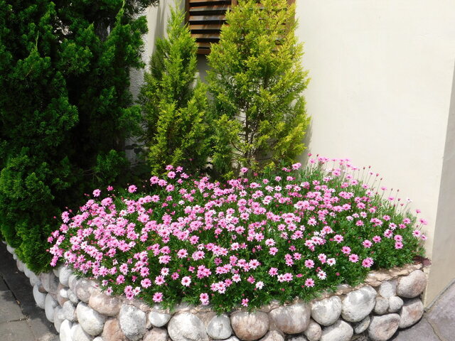 DSCN5281.JPG