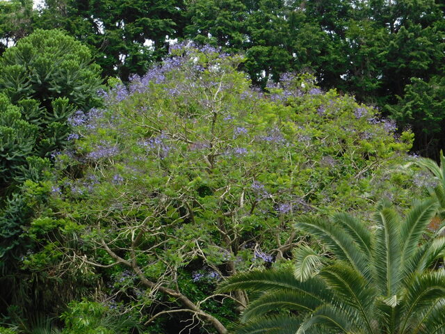 DSCN5286.JPG