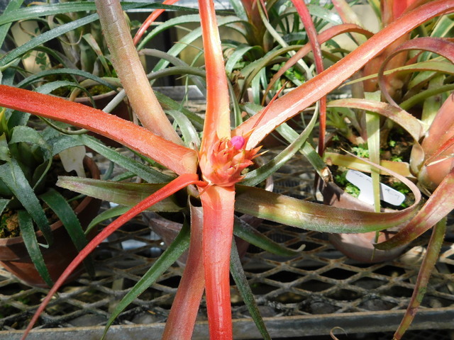 DSCN5290.JPG