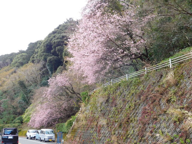 DSCN5308.JPG