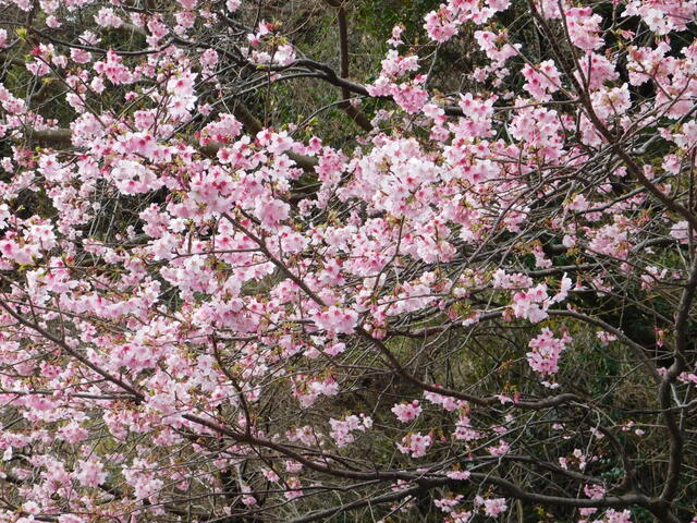 DSCN5313.JPG