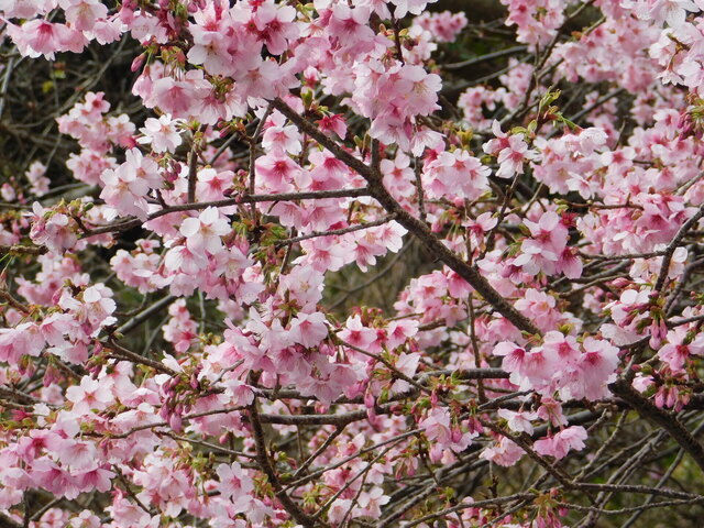 DSCN5314.JPG
