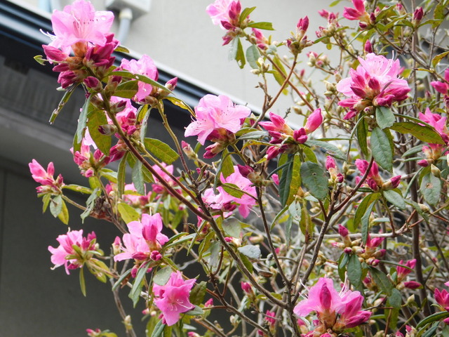 DSCN5316.JPG
