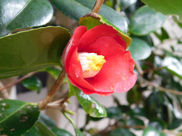 DSCN5322.JPG