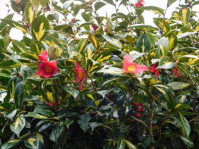 DSCN5324.JPG