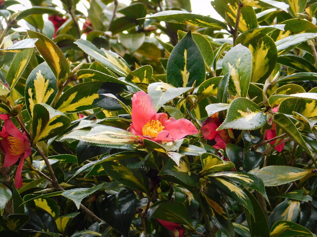DSCN5326.JPG