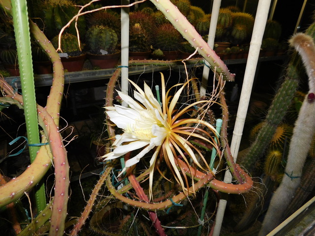 DSCN5326.JPG