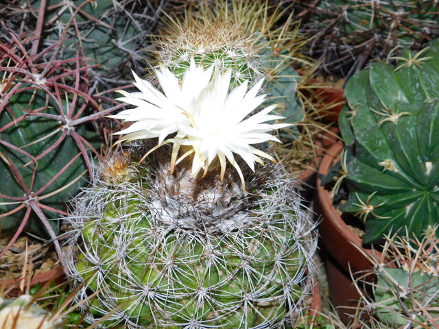 DSCN5329.JPG