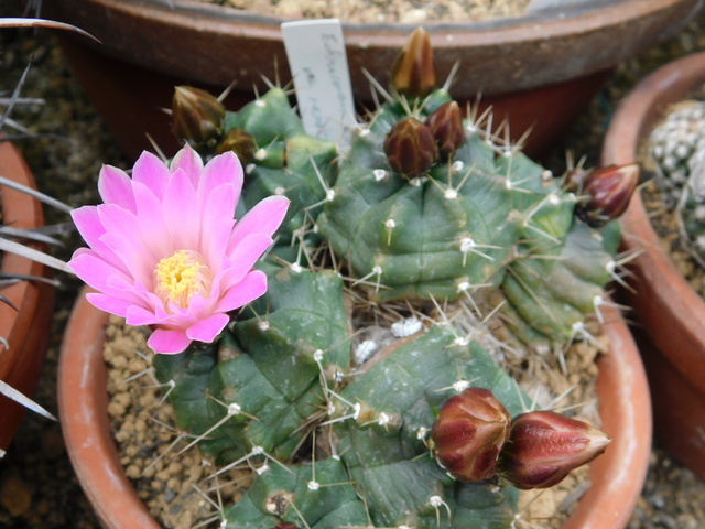 DSCN5335.JPG