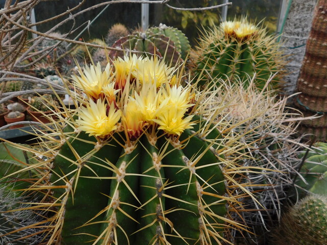DSCN5342.JPG