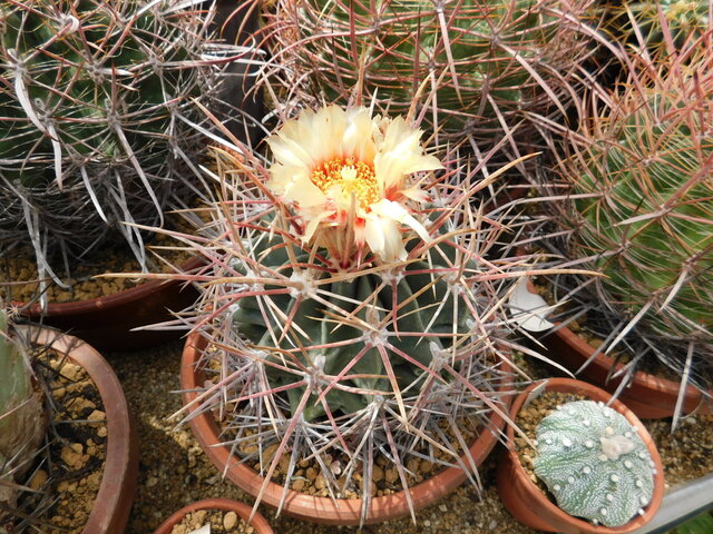 DSCN5343.JPG