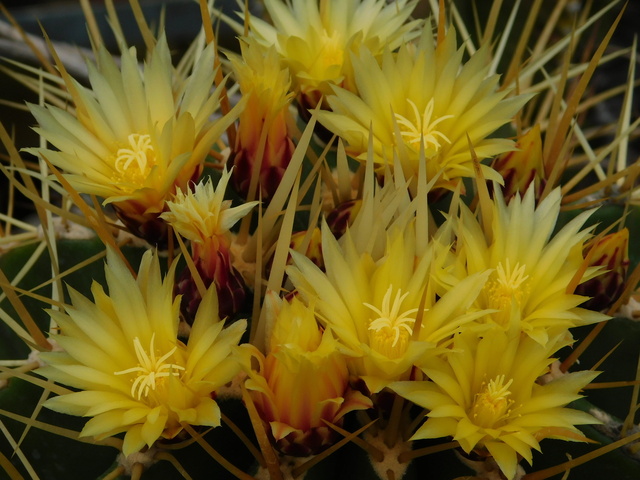 DSCN5344.JPG