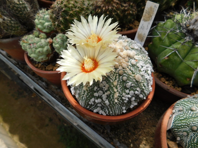 DSCN5345.JPG