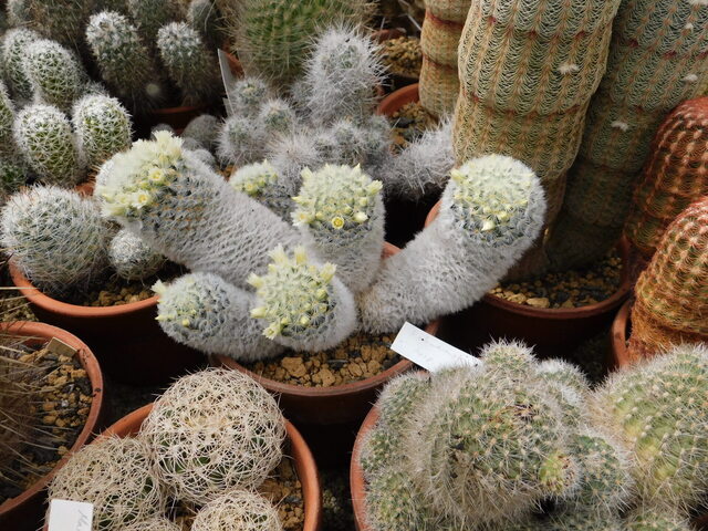 DSCN5347.JPG