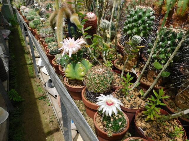 DSCN5349.JPG