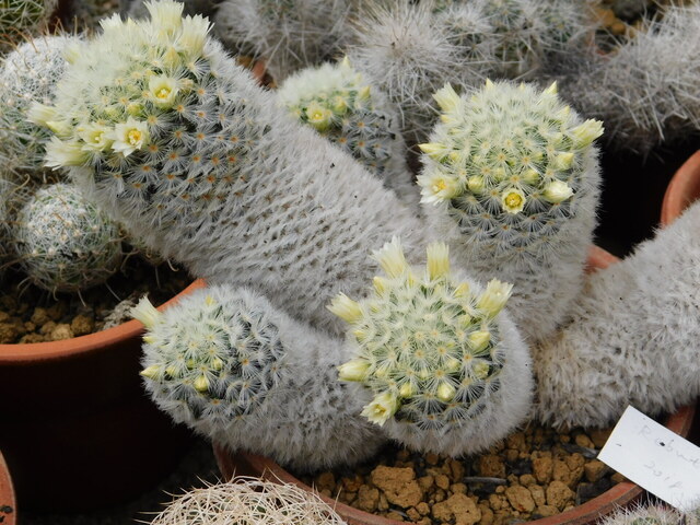 DSCN5350.JPG