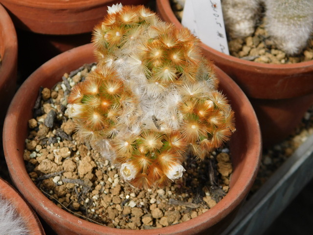 DSCN5352.JPG