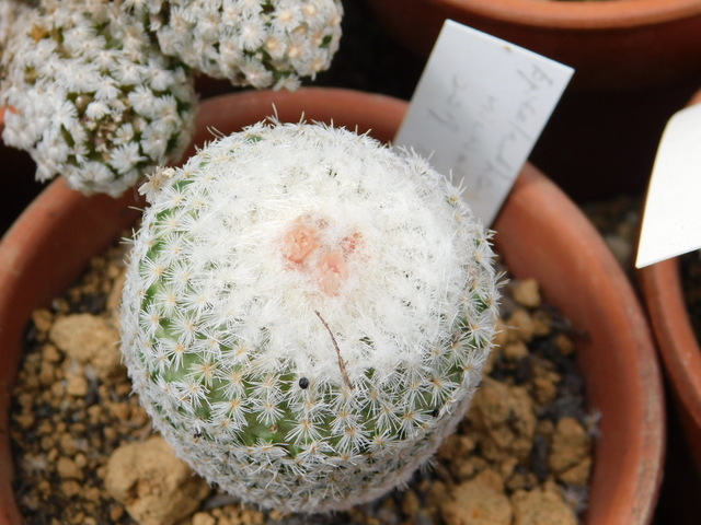 DSCN5353.JPG