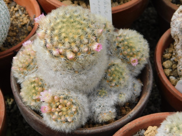 DSCN5356.JPG