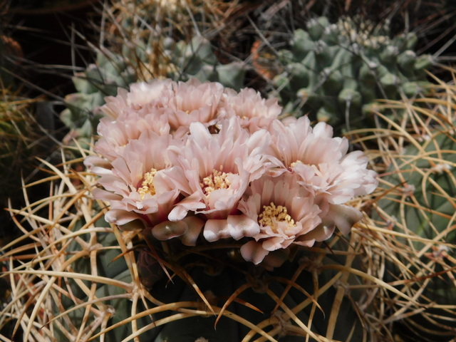 DSCN5357.JPG