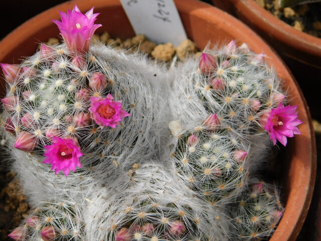 DSCN5357.JPG