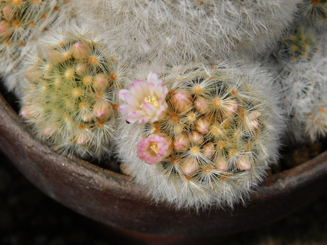DSCN5359.JPG