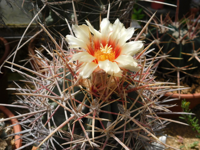 DSCN5360.JPG