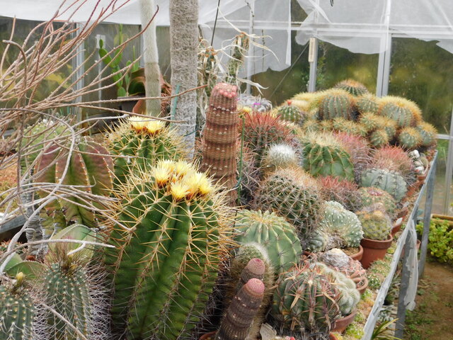 DSCN5374.JPG