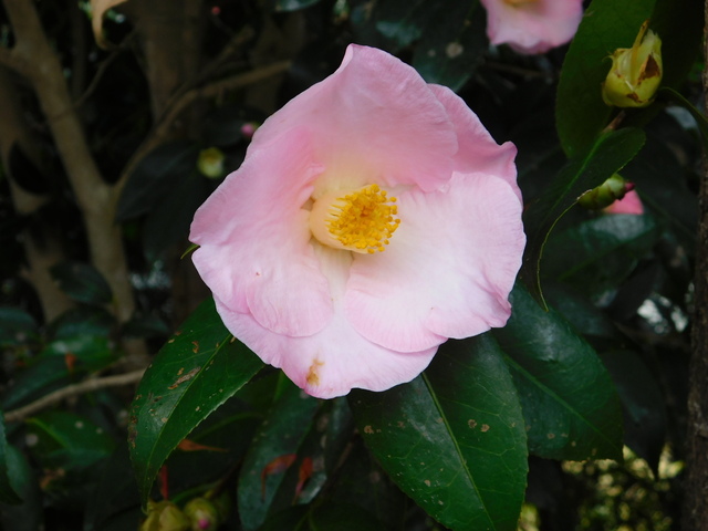 DSCN5378.JPG