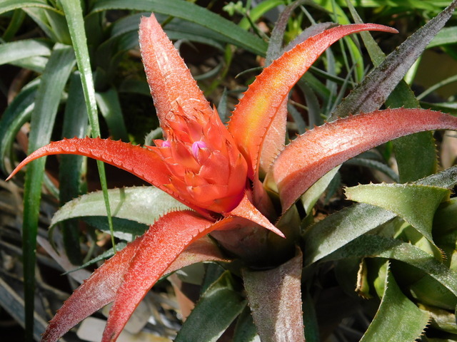 DSCN5404.JPG