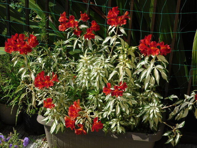 DSCN5407.JPG