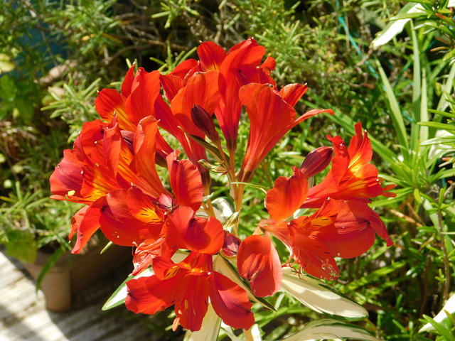 DSCN5408.JPG