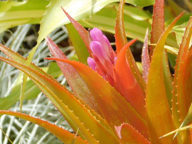 DSCN5408.JPG