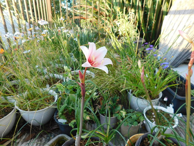 DSCN5423.JPG