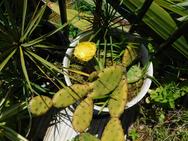 DSCN5460.JPG