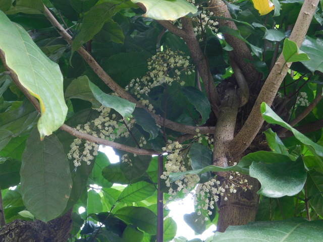 DSCN5463.JPG